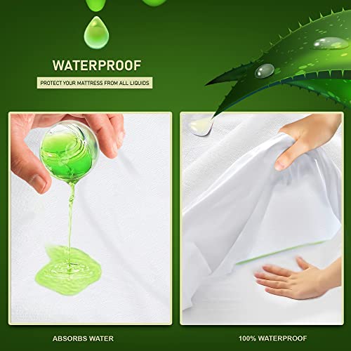 Aloe Vera Treated Terry Towel Mattress Protector